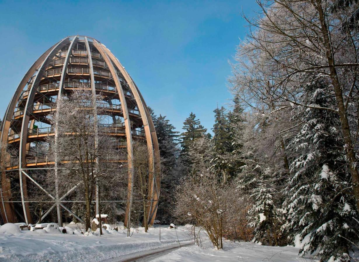 Ferienwohnung Im Landhaus Am Nationalpark Ludwigsthal Extérieur photo